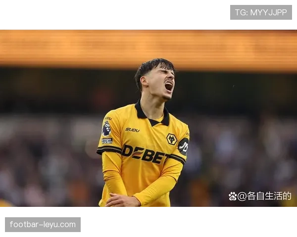 纽卡斯尔联新星哈利·纽卡状态回暖，英超赛场再受瞩目