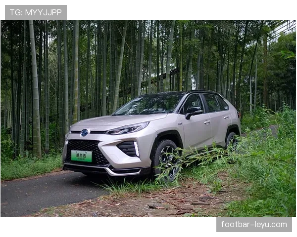 特雷·杨回归挡拆制造错位 比上季组织更高效